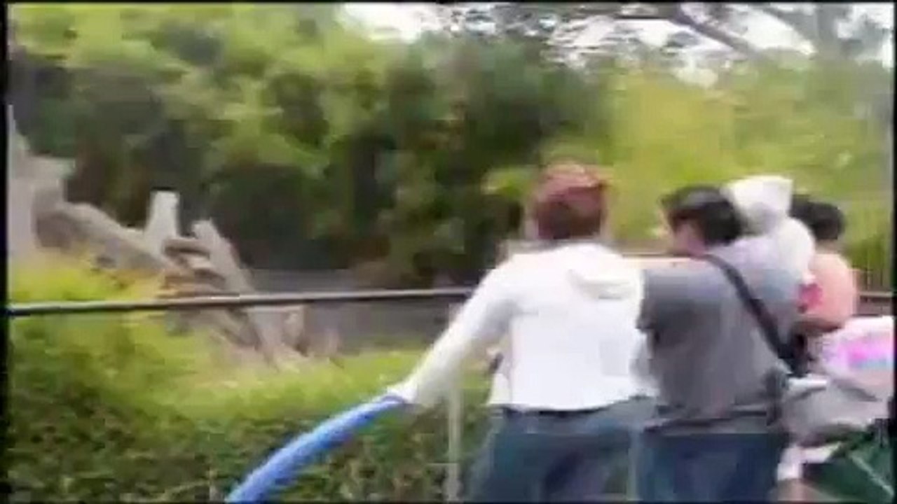 Medvjed napao covjeka!!!!.flv The bear attack man!!!