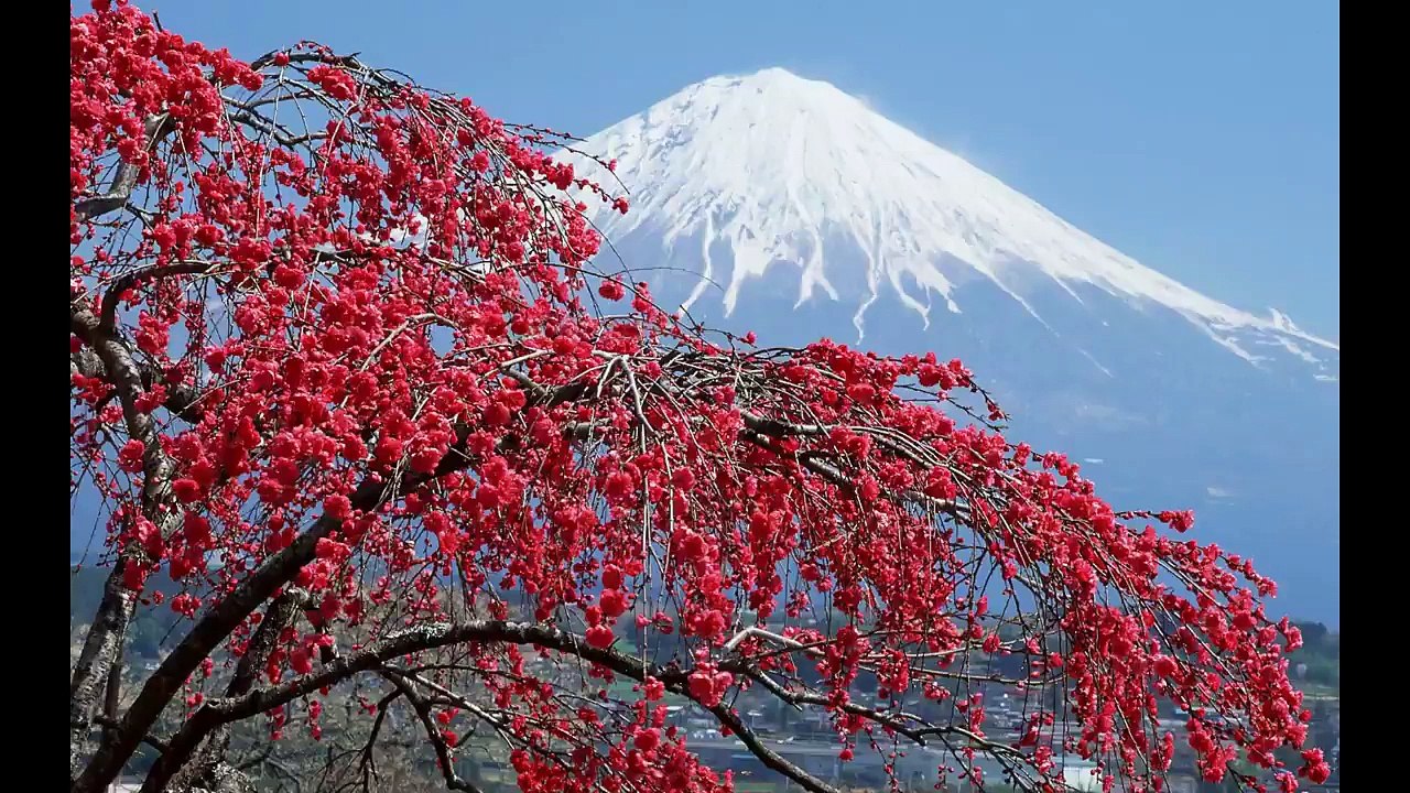 Akane
