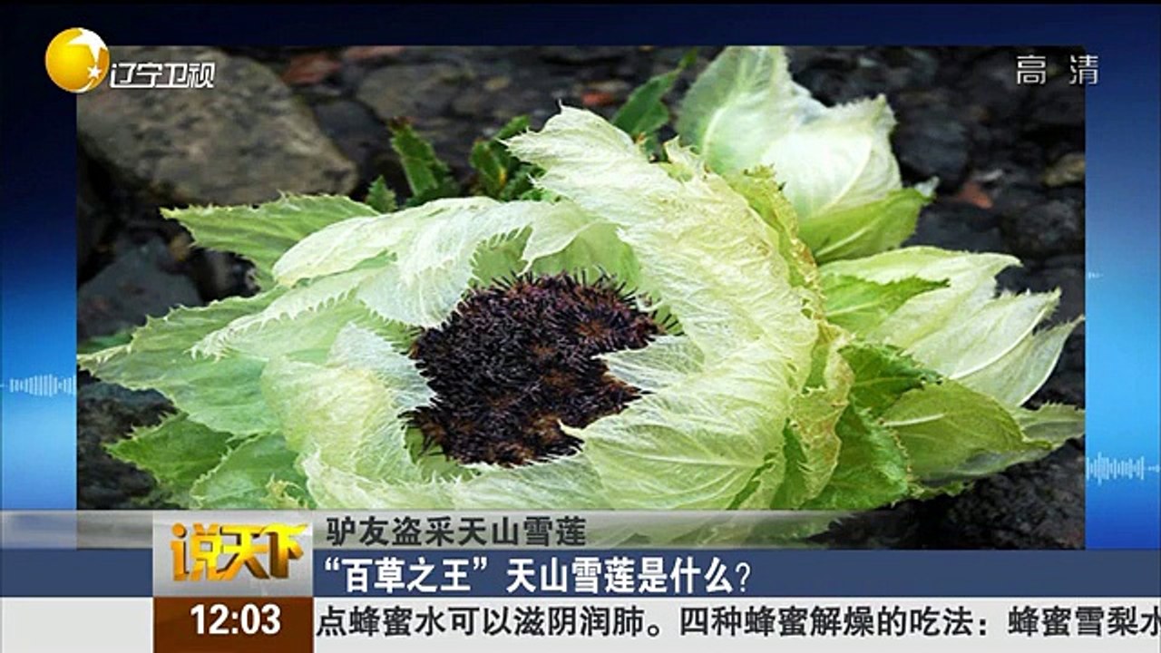 20150813 说天下