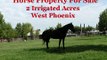 Arizona Horse Property for Sale Phoenix Irrigated 2 Acres Horse Farm Horse Properties MLS #4516024