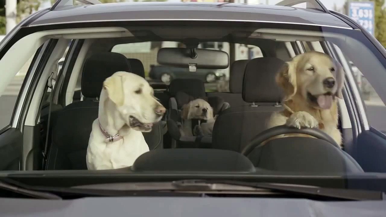 Subaru Dog Tested | Subaru Commercial | Road Trip Convenience Store
