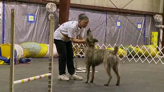 Reckless_ Agility-H.264 300Kbps Streaming.mov