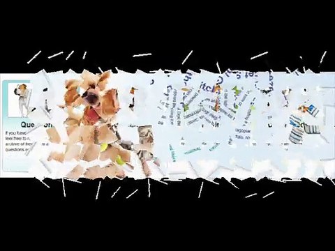 AllergicPet.com For Diagnosing Seizures In Dogs