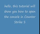 howto: open Console in Counter Strike Source