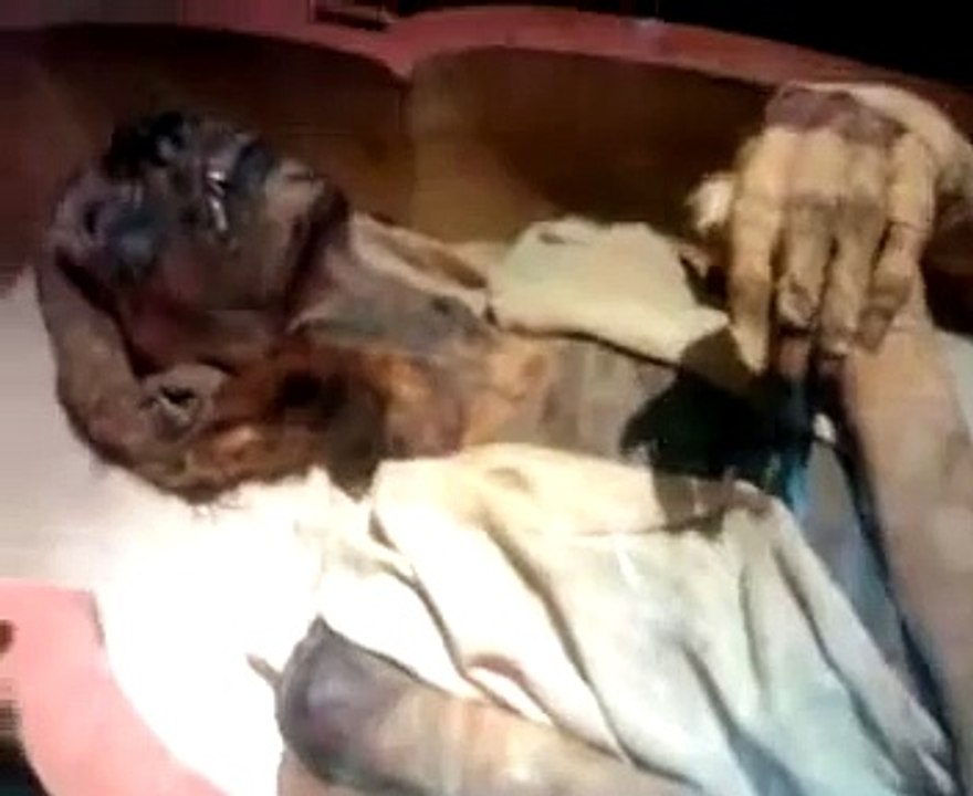 Firoun's Body