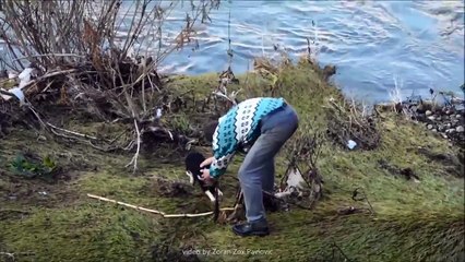 People Being Awesome