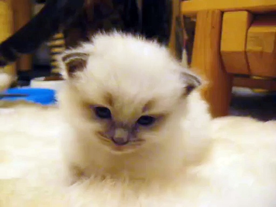 Tenter de rester réveillé un vendredi soir, ça ressemble à ça...