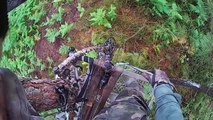 chasse chevreuil / Roe Deer hunting