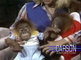 Baby Gorilla from San Diego Zoo: Orangutans on Johnny Carson's Tonight Show