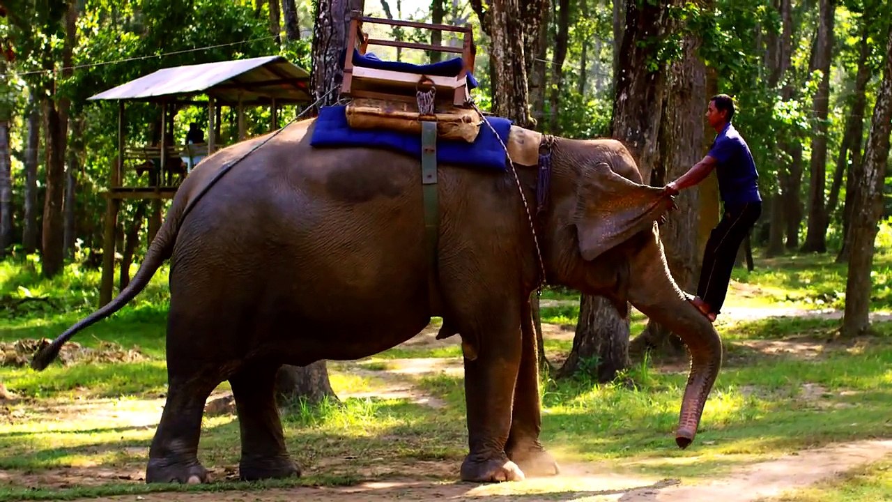 Les 7 Minutes Qui Vont TRANSFORMER Votre Vie | MOTIVATION