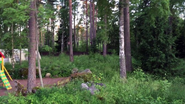 Красивый вид с камня на озеро .