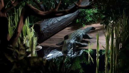 Jonny Quest Opening Titles in Stop Motion