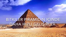 Mısır Piramitleri Hakkında 13 İlginç Bilgi