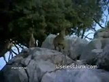 Giant Eagle Drags Mountain Goats off a Cliff