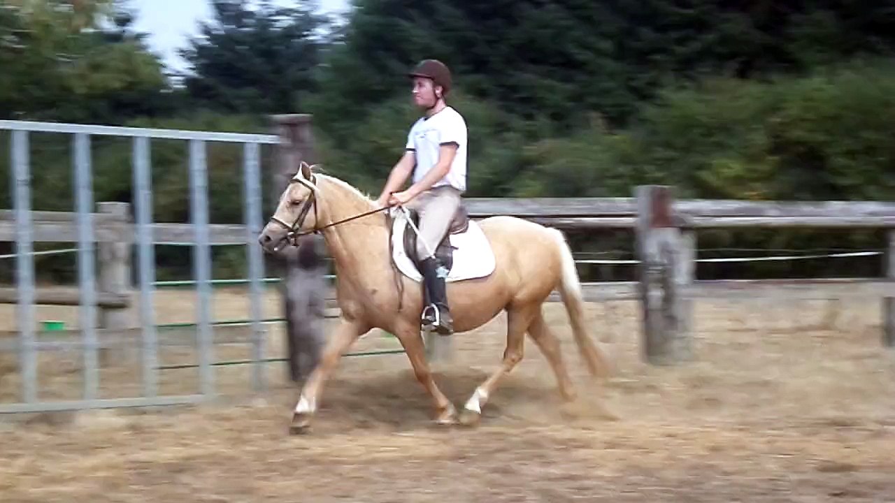 Caoline Troidés . Aout 2015 .