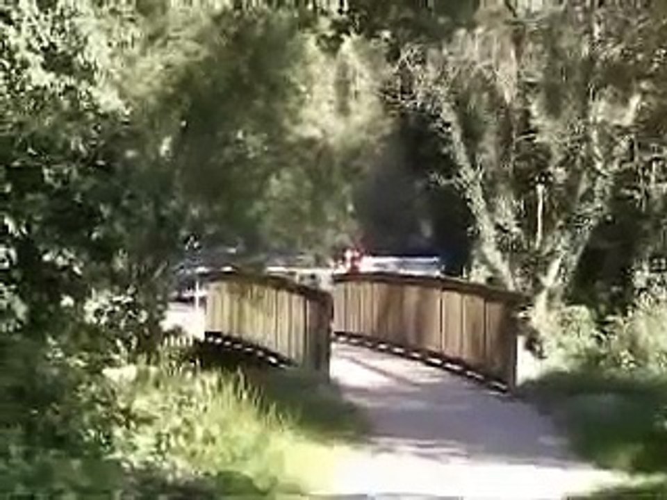 Baggersee Rastatt Wintersdorf www.lars-fotos.de