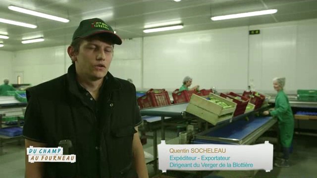 Quentin Socheleau : expéditeur de poires (Emission : Du champ au fourneau - Campagnes TV - Interfel)