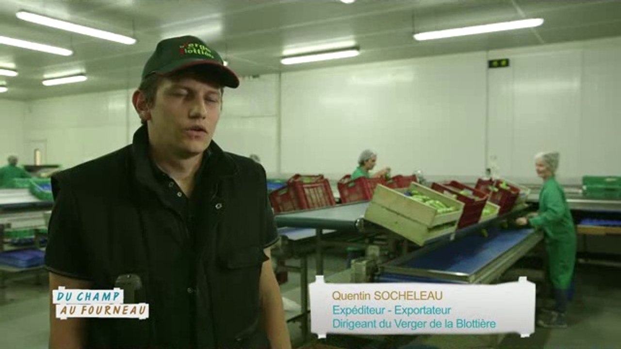 Quentin Socheleau : expéditeur de poires (Emission : "Du champ au fourneau" - Campagnes TV - Interfel)