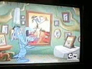 Osos hormigeros y la hormiga