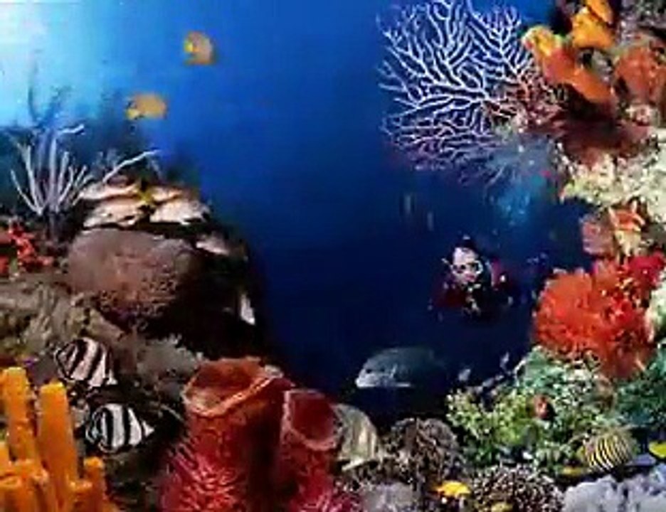 Objek Wisata Taman Nasional Bunaken Manado