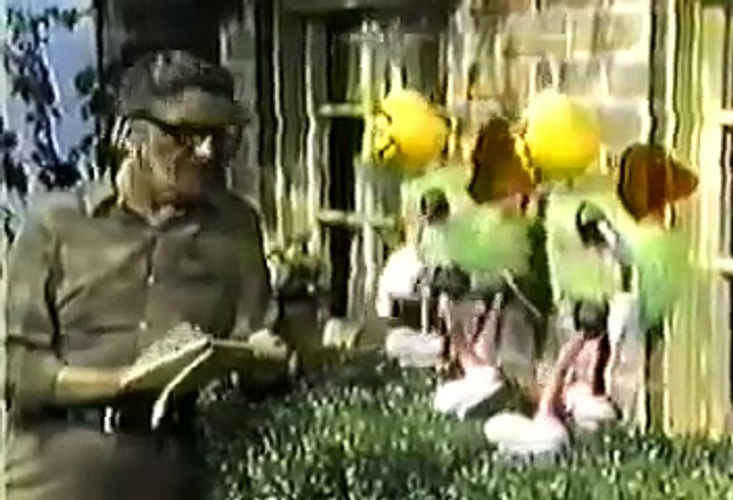 Nickelodeon Pinwheel bumper & Hobo Bugs sing Your My Brother