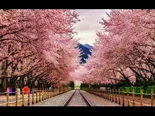 월드컵토토@@ I M A 3 3 . C O M @@월드컵배팅