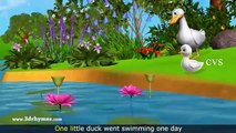 Five Little Ducks Went Out One Day 3D Animation Five Little Ducks Nursery Rhyme for childr