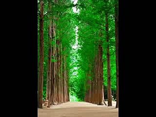 농구토토추천@@ I M A 3 3 . C O M @@농구배팅추천