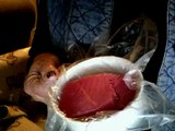 Radiation testing of tuna, ahi, sashimi, sushi, fresh, previously frozen label. Fukushima