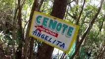 Diving in Cenote Angelita - Tulum, México