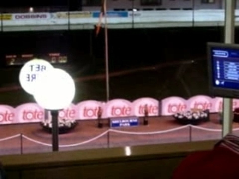 Course de Lévriers à Dublin