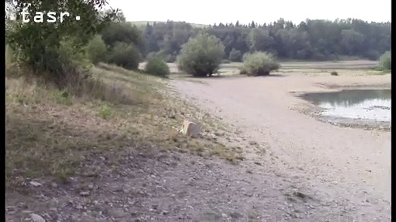 Dlhodobé horúčavy a suchá sa odrazili aj na stave vody v Liptovskej Mare