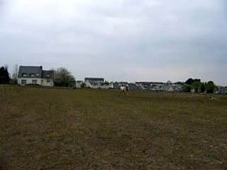 Trot pré