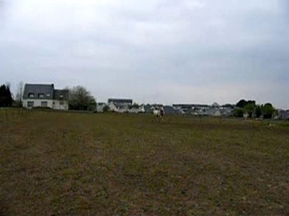 Trot pré