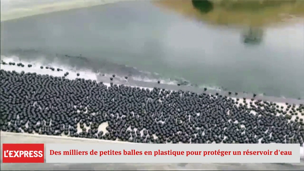 Etats-Unis: des milliers de petites balles en plastique pour protéger un réservoir d'eau