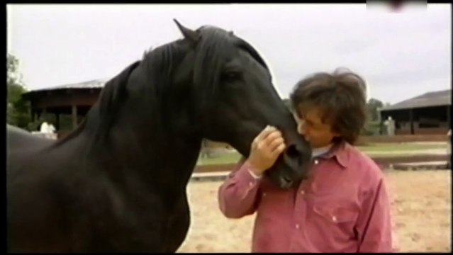 Mario Luraschi moje Magiczne Konie - part6