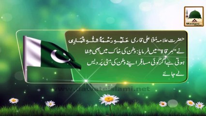 Watan ki Mitti Me Bhi Shifa Hoti Hai - 14 August Madani Phool