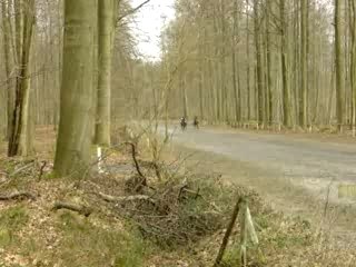22.2.2007 => Grand galop de Nev - course