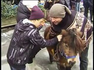 Benedizione animali Mariano 16 gennaio 2011