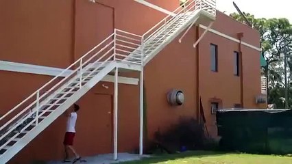 Suddenly Discovered Wasp Nest - Fail