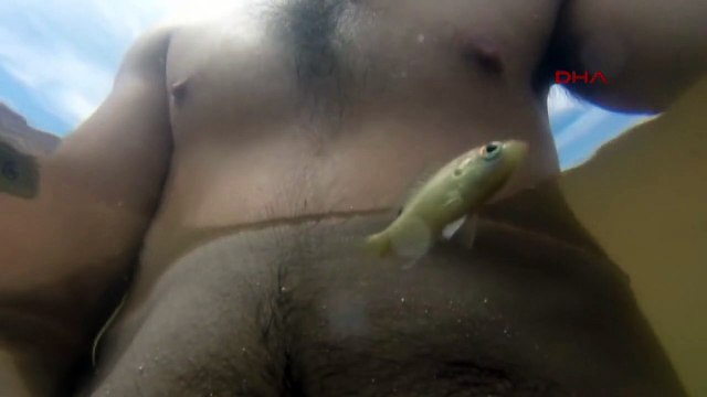 Balık adama öyle bir şey yaptı ki...