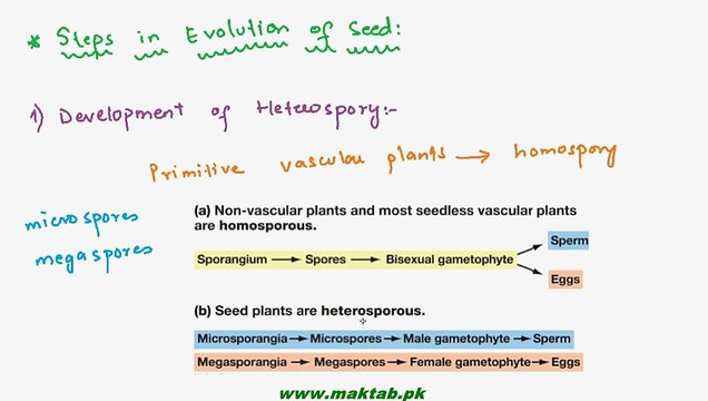 FSc Biology Book1, CH 9, LEC 13; Evolution of Seed