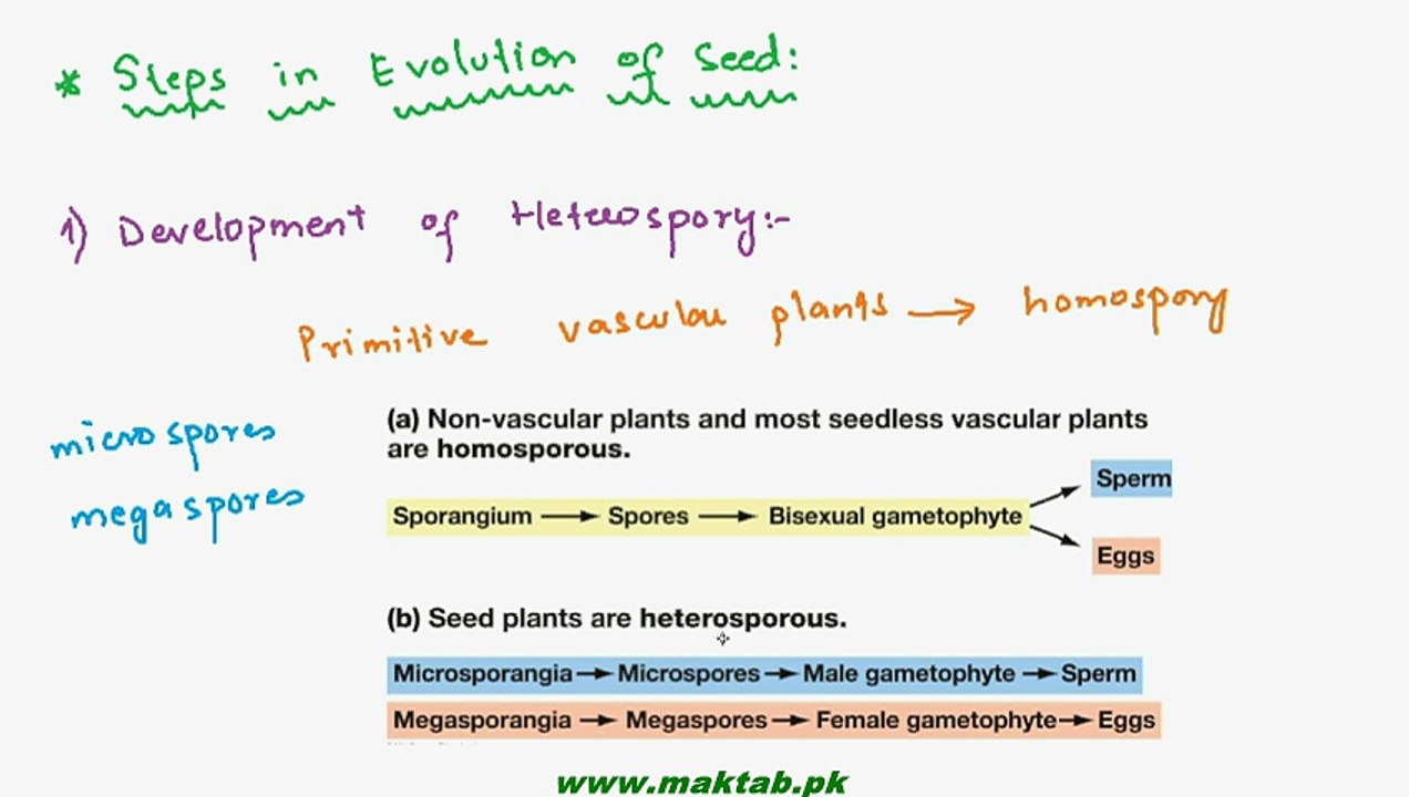 FSc Biology Book1, CH 9, LEC 13; Evolution of Seed