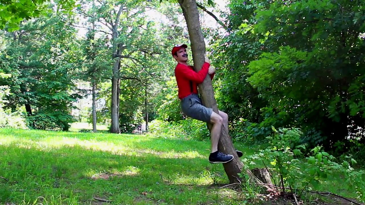 Mario In Real Life