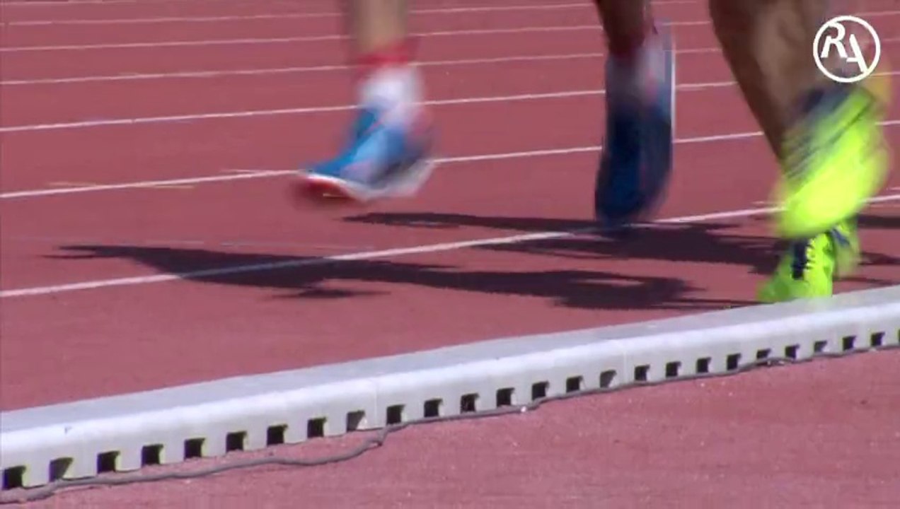 Championnats du monde d'athlétisme vétérans 2015