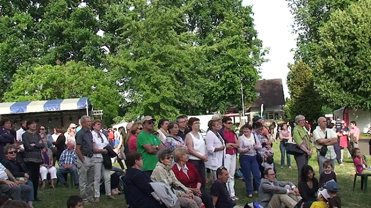 Fête musique Montigny-le-Bretonneux 2015