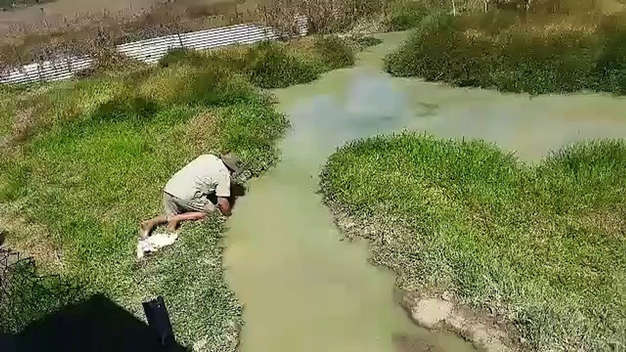 Crocodile Rider