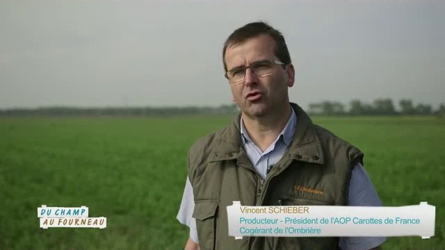 Vincent Schieber : producteur de carottes (Emission : Du champ au fourneau - Campagnes TV - Interfel)