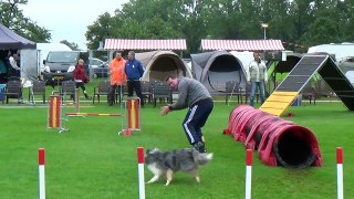 Dog Race Competition # Part - XIII