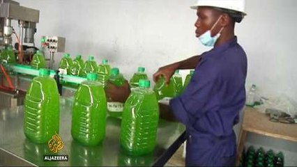Nigerian start-up eyes green business with biofuel